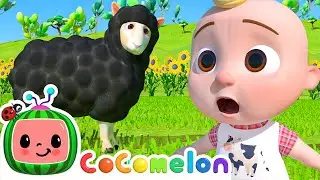 Baa Baa Black Sheep 