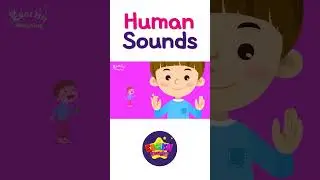 Kids vocabulary - Human Sounds - imitating sounds - English educational video for kids 