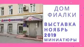 Выставка в Доме Фиалки Ноябрь 2019 Минииалки