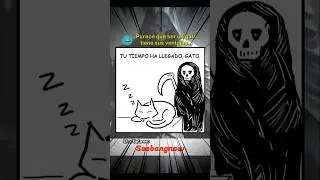 ¿Los Gatos Escapan de la Muerte? 🐱💀