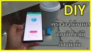 #diy เครื่องให้อาหารสัตว์ อัตโนมัติ อาหารปลา อาหารเเมว อาหารสุนัก หรืออื่นๆ