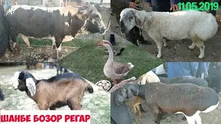 ШАНБЕ БОЗОР РЕГАР 11.05.2019 нархи гусфандхо бука гови ширдор