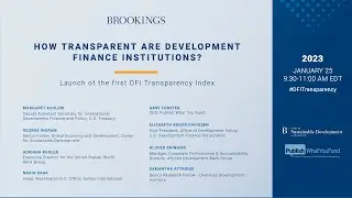 How transparent are development finance institutions