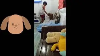Play with his Pet😂i mean stuff toy's