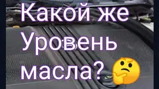 Какой же уровень масла держать? 🤔 @Sergtv