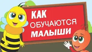 Как обучаются малыши. Эффективный подход к раннему обучению детей.