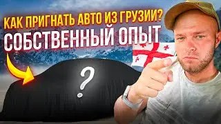Как пригнать авто из Грузии? Показываем Собственный опыт. Прохождение границ, Лаборатории, таможни.