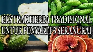 EKSTRAK HERBA TRADISIONAL UNTUK PENYAKIT 3 SERANGKAI??