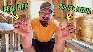 Social Media v.s. Real Life Farming