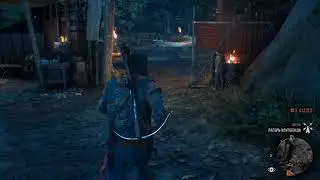 Days Gone плюсы и минусы новой игры+