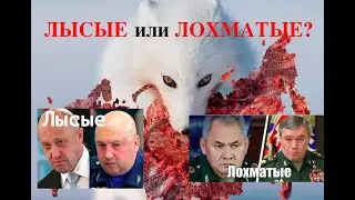 ЛЫСЫЕ ИЛИ ЛОХМАТЫЕ? КТО ПОКОНЧИТ С ПУТИНЫМ - РЕШАЕТСЯ В СОЛЕДАРЕ. Лекция историка Александра Палия