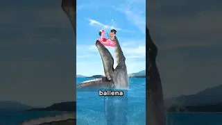 Ballena Se Come A Un Hombre 😨