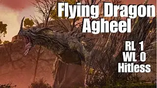 Defeating Flying Dragon Agheel at level 1 (no weapon upgrades, hitless, solo) - Elden Ring