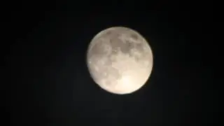 Moon