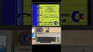 Trying to LOAD Sky Travel Floppy Disk on the Commodore 64 
