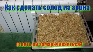 Как приготовить солод из зерна для пива или виски