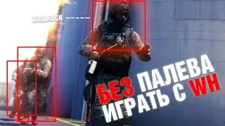 Как беспалевно играть с ВХ? - CS:GO