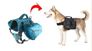 Top 5 Best Dog Hiking Backpack 2023 (REVIEWED)