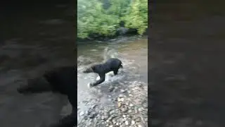 Дети не слушайтесь маму.