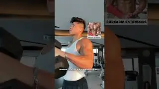 BECOME A BICEP PRO 💪KNOW THESE!