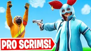 Twins play PRO Solo Scrims