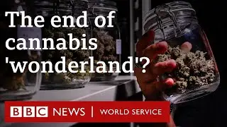 How Thailands lucrative cannabis industry is under threat - BBC World Service Documentaries