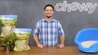 Smart Cat Litter | Chewy