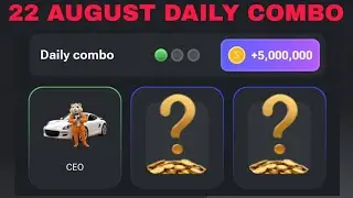 22 AUGUST HAMSTER KOMBAT DAILY COMBO CARDS TODAY