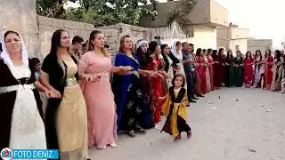 AŞİRET DÜĞÜNÜ GOYİ AŞİRETİ DAMAT ÖYLE BİŞEY YAPTI Kİİ !!!!(Foto Deniz Silopi)