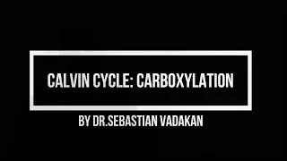 Calvin cycle  Carboxylation