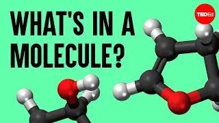 The science of macaroni salad: Whats in a molecule? - Josh Kurz