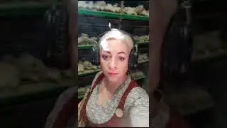 Завтрак