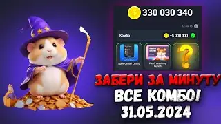 Сегодня! Новые Комбо карты Хамстер Комбат 31 мая! Combo Hamster Kombat