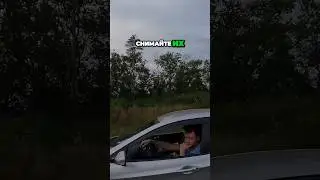 Обочечник любит позировать на камеру #drongogo #дорожныевойны