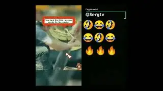 помощник 👍😂🤣😂