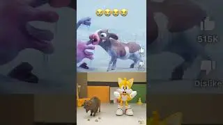 Sad cow video 😭😭 