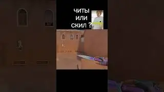 Я не ЧИТЕР #standoff2 #анимация #стандофф2 #csgo #рофл #читер #memes #мемы #бравлстарс