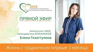 Жизнь с малышом в первые 3 месяца после рождения. Елена Гизаттулина