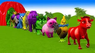 Paint & Animals Duck,Gorilla,Lion,Elephant,Cow,Sheep Fountain Crossing Transformation Animal Cartoon