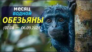 Месяц водной обезьяны: прогноз по Ба Цзы, Феншуй и Ци Мень на метафизический август (2024)