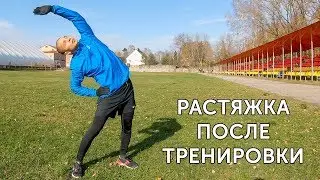 ЗАМИНКА ПОСЛЕ ТРЕНИРОВКИ УЛУЧШАЕТ ВОССТАНОВЛЕНИЕ! Кардио + растяжка! | neofit 55