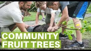 Community Fruit Trees