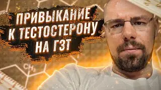 Привыкание к тестостерону |  Андрогеновый рецептор | Почему врачи не снижают эстрадиол