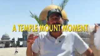 A Temple Mount Moment: Seeing the Holy Temple from the North, Part 2