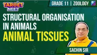 Animal tissues | Structural Organisation in Animals |Class 11| NEET 2024 |Sachin Sir #neet #neet2024