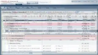 Primavera P6 EPPM Resource Leveling