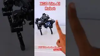 Amazing AI Robot Dog @elecfreaks #robots #robotics #airobot #dogrobot #coding #diy #electronics