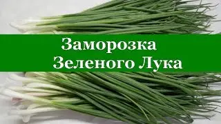 Как заморозить ЗЕЛЕНЫЙ ЛУК на зиму для салатов и пирогов