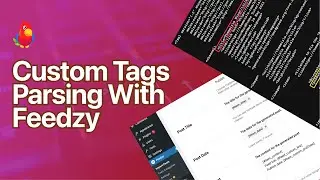 Feedzy - Custom Tags Parsing [2023]