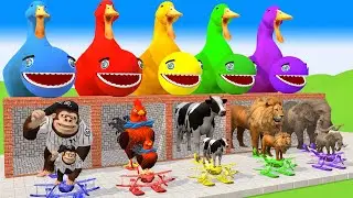 Paint Animals cow lion dinosaur elephant bear checken leopard hippo dog cat - Paint Color 